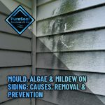 1-Mould-Algae-and-Mildew-on-Siding
