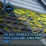 7-The-Best-Chemicals-to-Clean-Moss