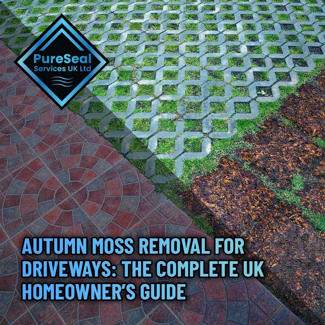Autumn Moss Removal for Driveways: The Complete UK Homeowner’s Guide
