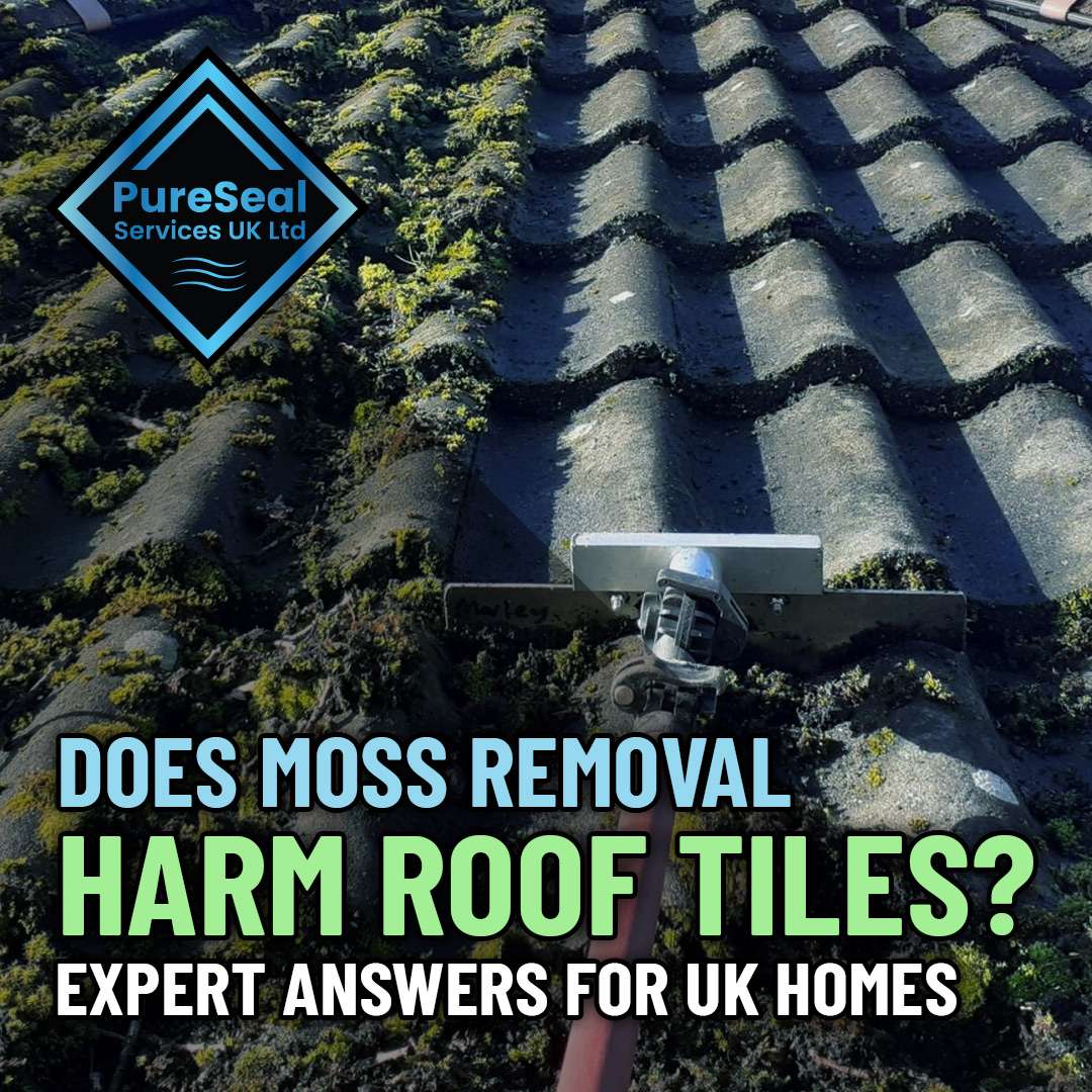 Does-Moss-Removal-Harm-Roof-Tiles-Expert-Answers-for-UK-Homes
