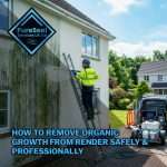 How-to-Remove-Organic-Growth-From-Render-Safely-and-Professionally