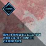 How-to-Remove-Red-Algae-From-Render-Safely-Complete-Cleaning-Guide