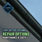 Leaky-Gutters-Explained