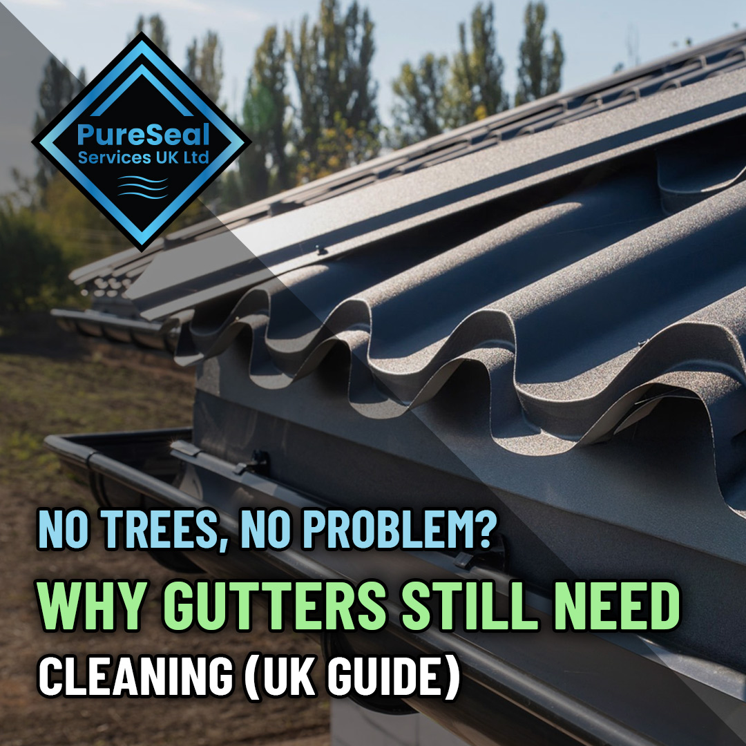No-Trees-No-Problem-Why-Gutters-Still-Need-Cleaning