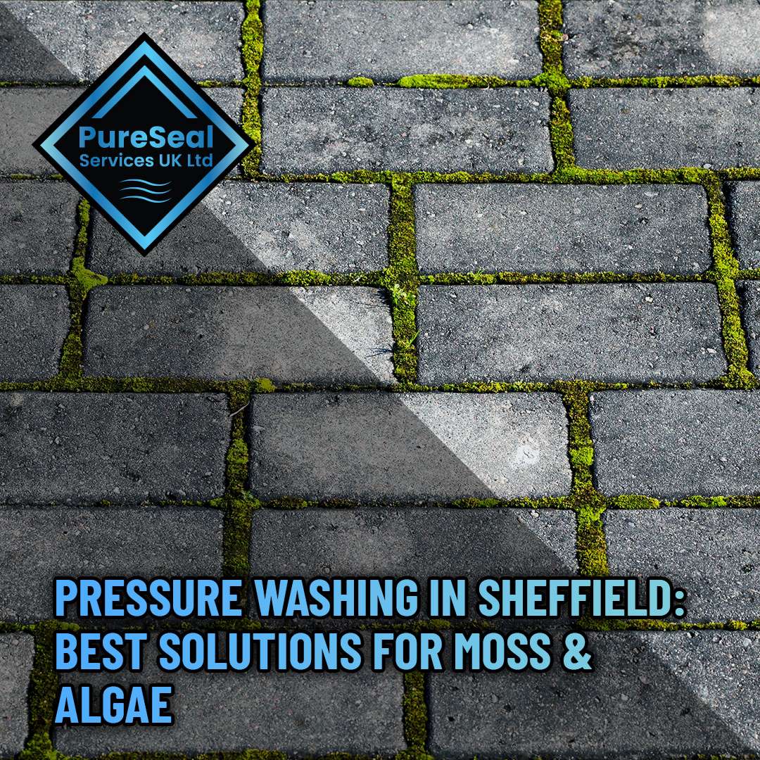 Pressure-Washing-in-Sheffield-Best-Solutions-for-Moss-and-Algae