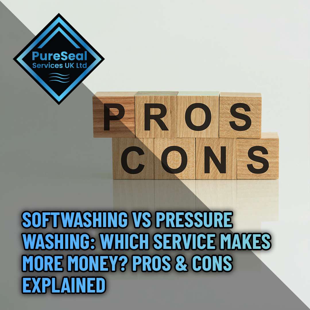 Softwashing vs Pressure Washing: Which Service Makes More Money? Pros & Cons Explained