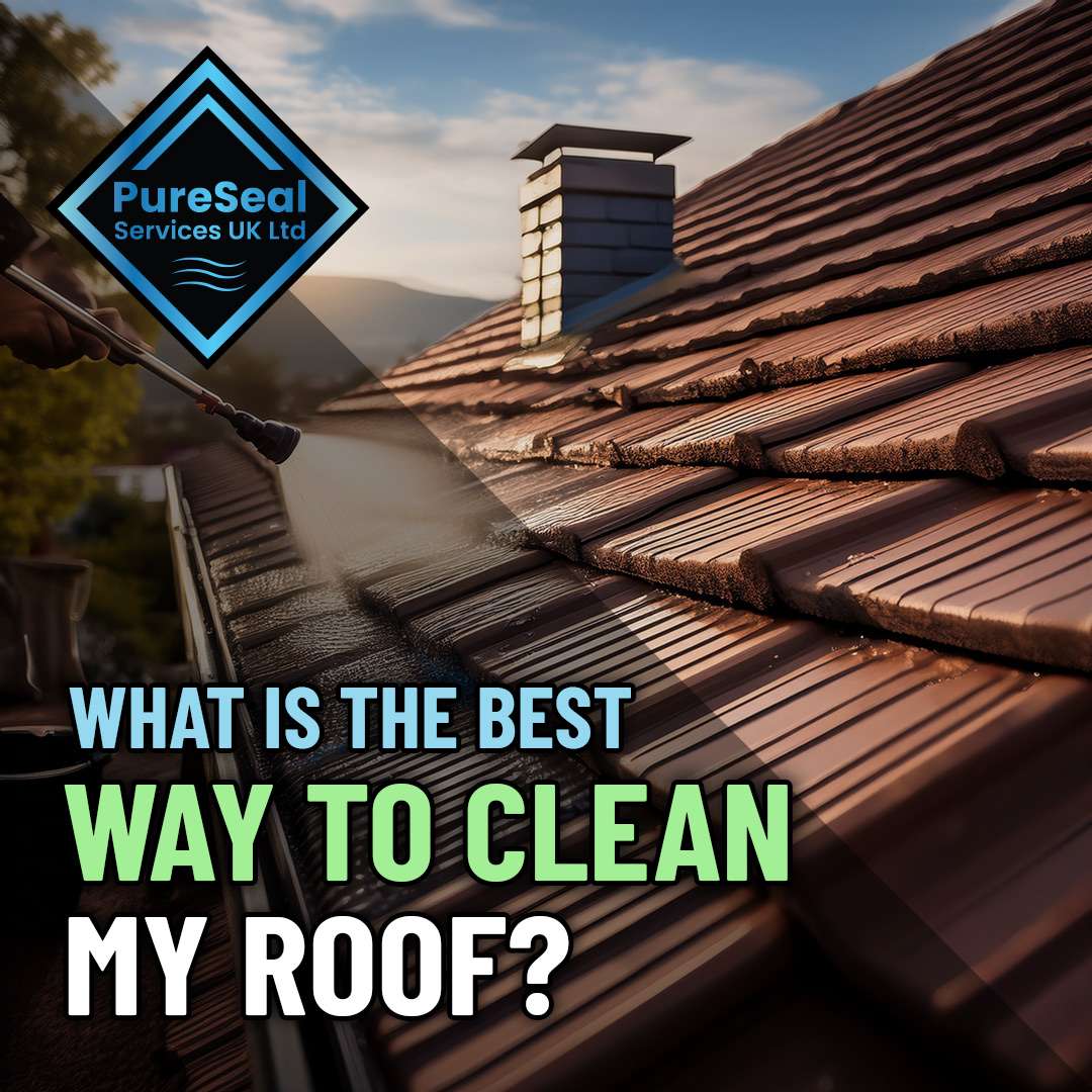 What-is-the-Best-Way-to-Clean-My-Roof
