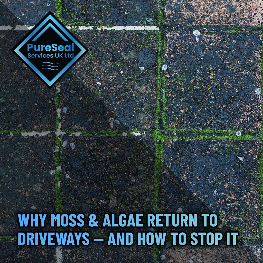 Why-Moss-and-Algae-Return-to-Driveways-And-How-to-Stop-It